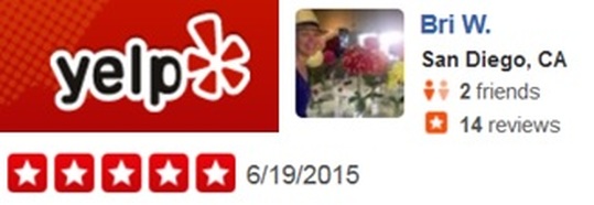 Avo Fronjian Yelp Review 2